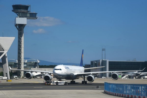 Unwind in nature: find your ideal lake district retreat for serene forest bathing adventures