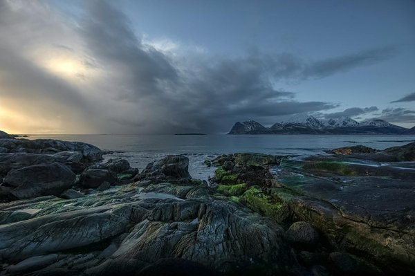Uncover the natural beauty of the peak district: experience an enchanting guided photography adventure!